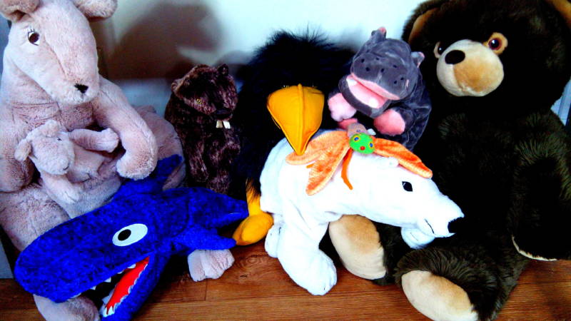 IMG 20150305 101433